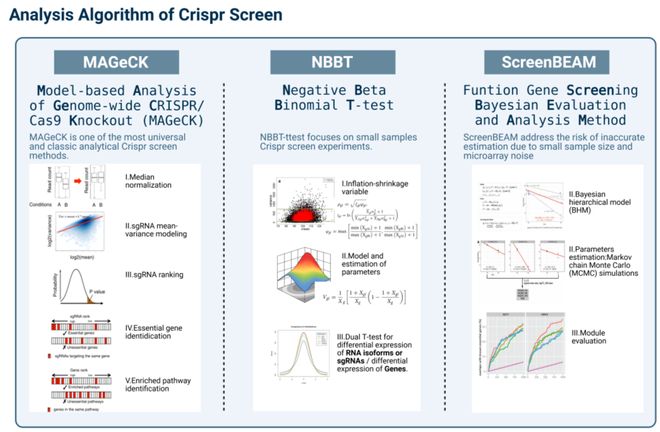 腫瘤CRISPRScreen在線平臺(tái)！重磅推薦！(圖5)